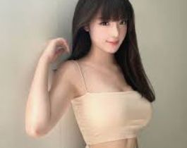 精选介绍资料包